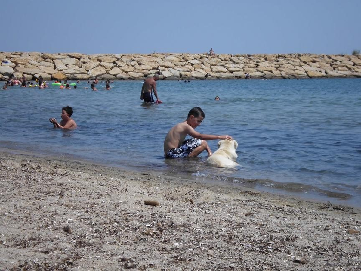 Saros\'da 40 Derece Sıcaklık Bunalttı.