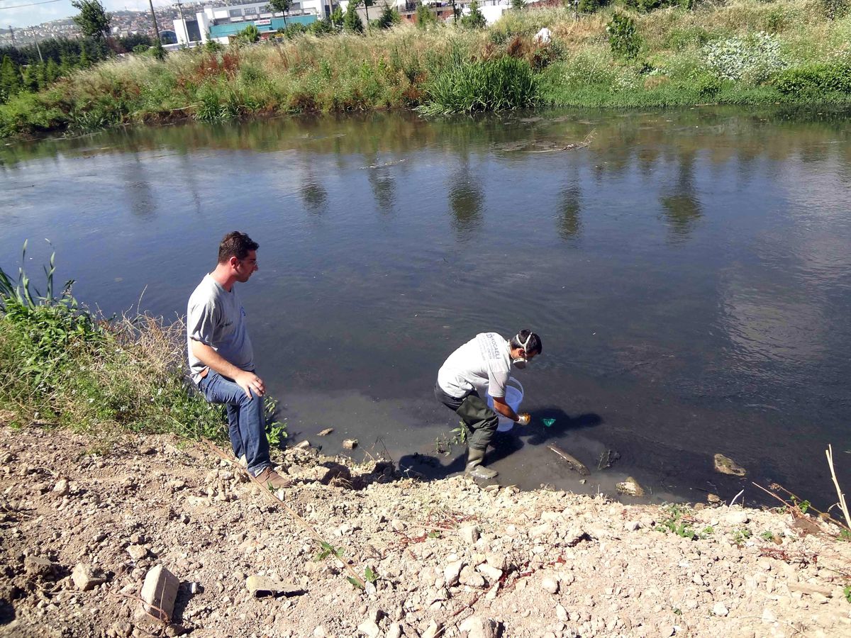 Sivrisineklere Balıklı Çözüm