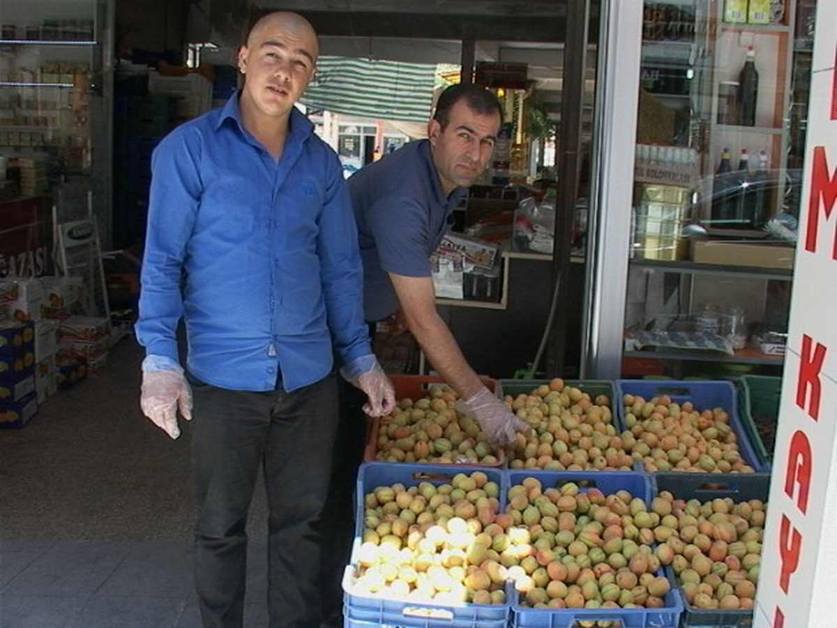 Yaş Kayısı Üreticiyi De, Satıcıyı da Mağdur Ediyor