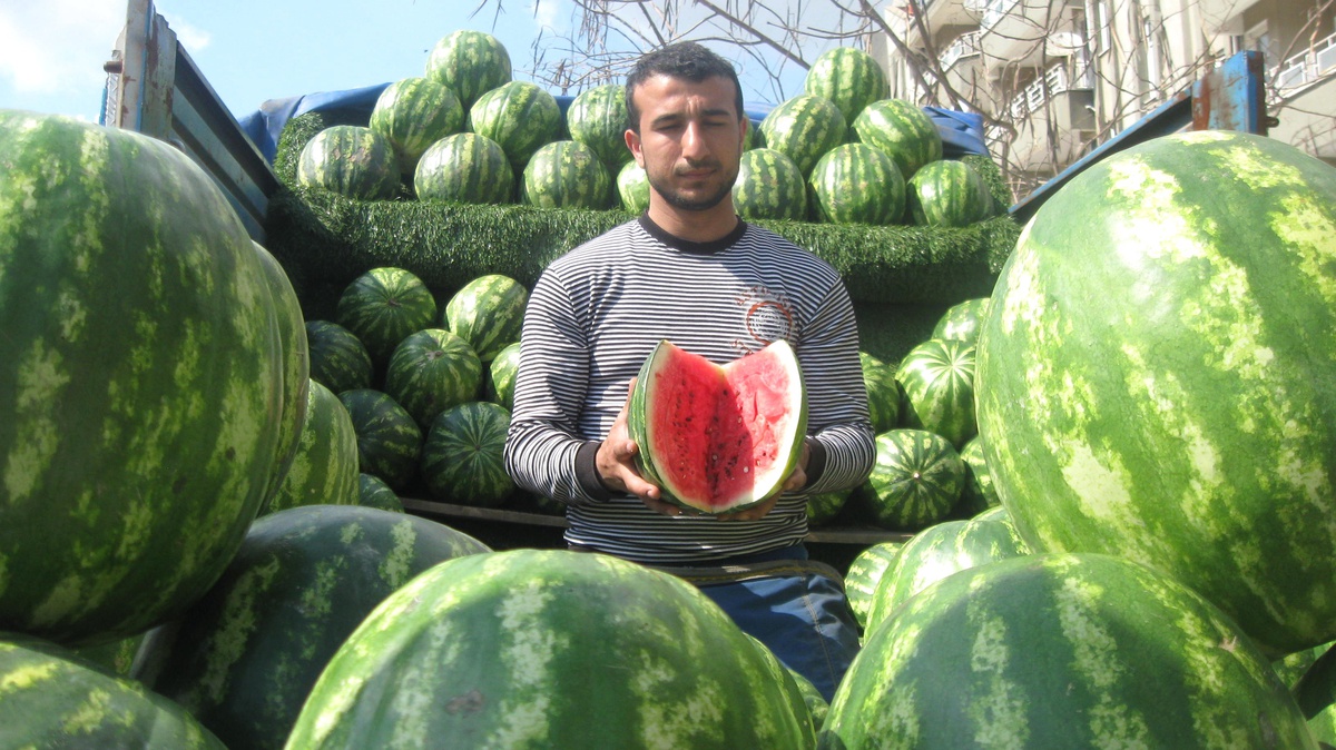 Yerli Karpuz Çıktı Fiyatlar Düştü
