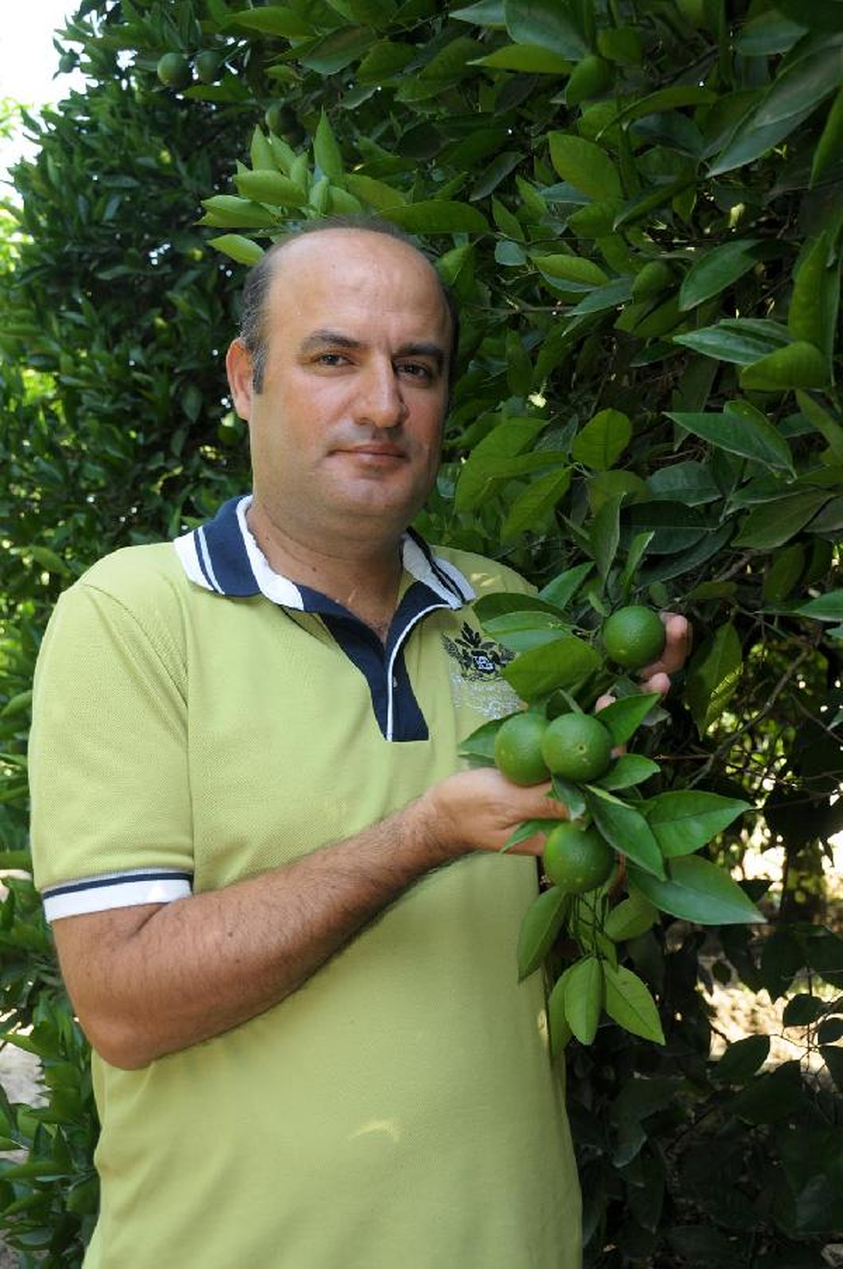 Çöl Sıcakları Narenciyeyi Vurdu