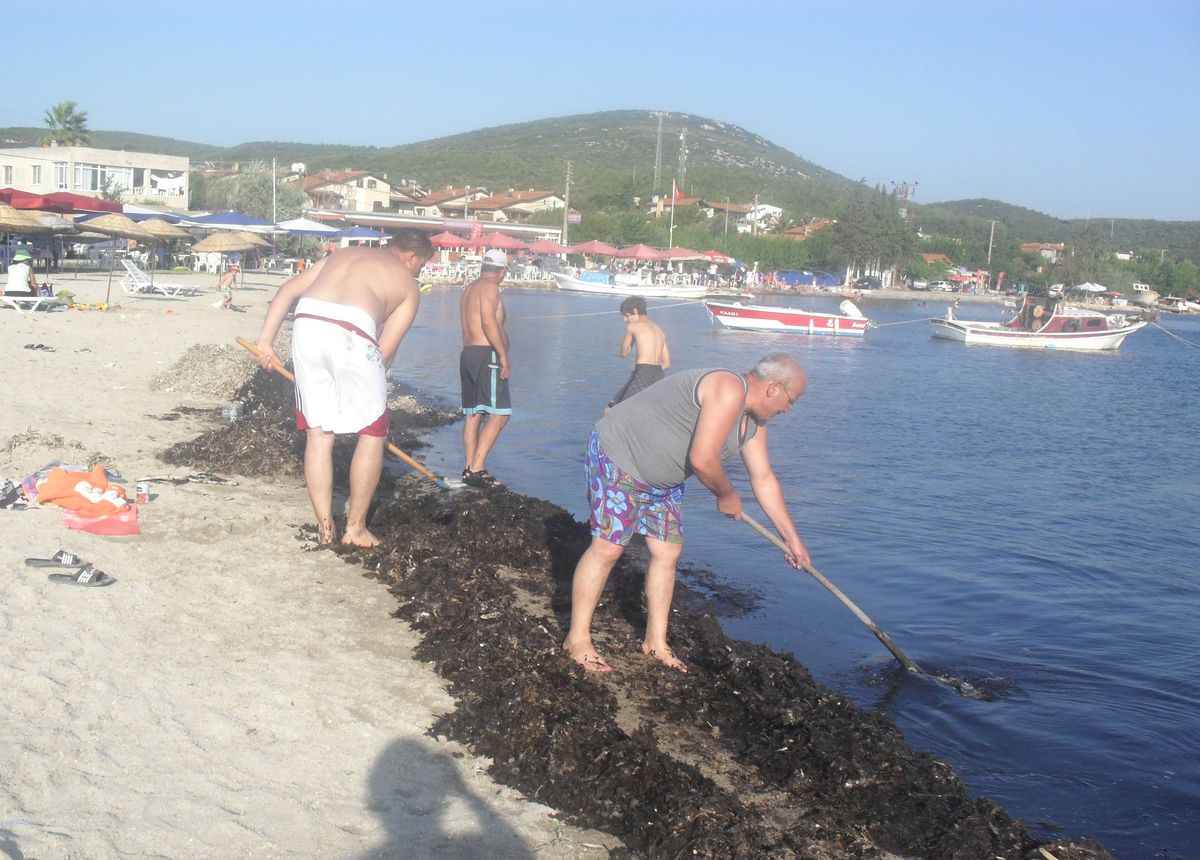 Denizi Temizlediler