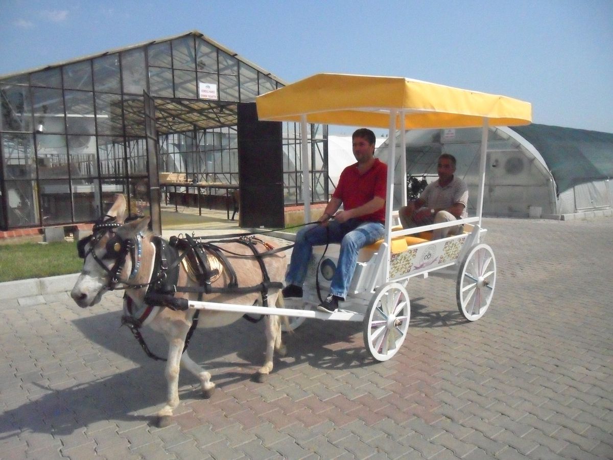 Gölbaşı Parkı\'na Nostaljik Eşek Arabaları