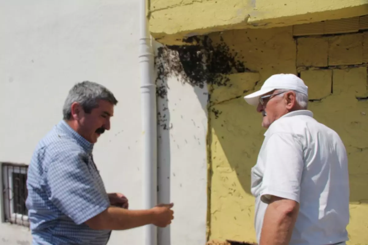 Kovandan Kaçan Arılar, Vatandaşları Korkuttu