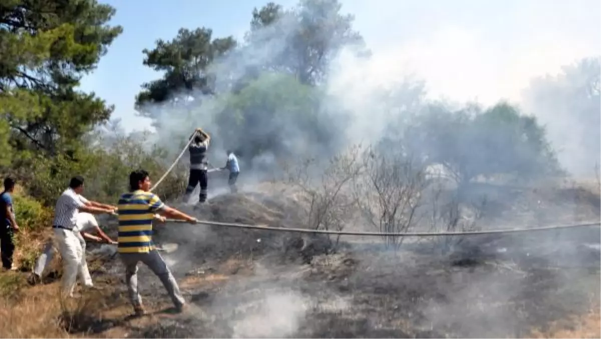 Orman Yangını \'İmece\'yle Söndürüldü