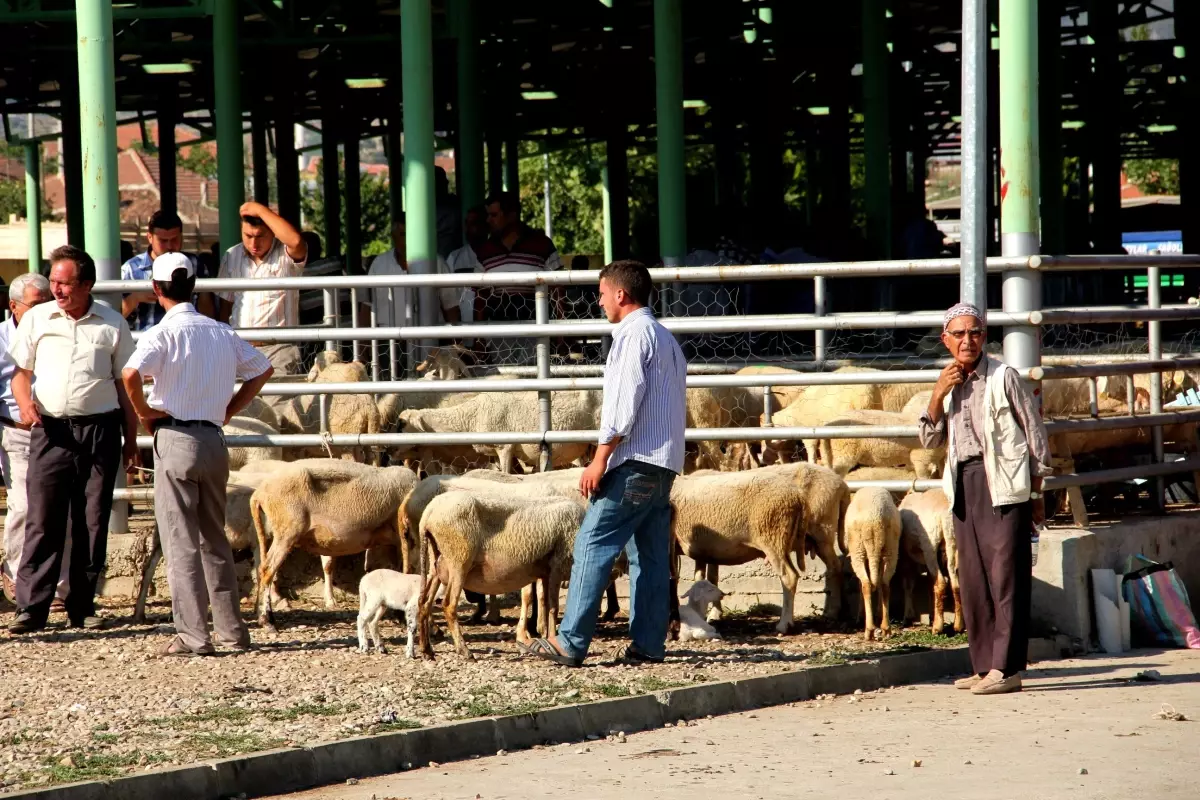 Sarıgöl\'de Kurban Hazırlığı Başladı