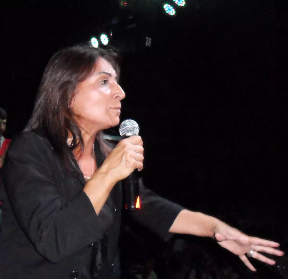 Silvan'da Halk Şöleni