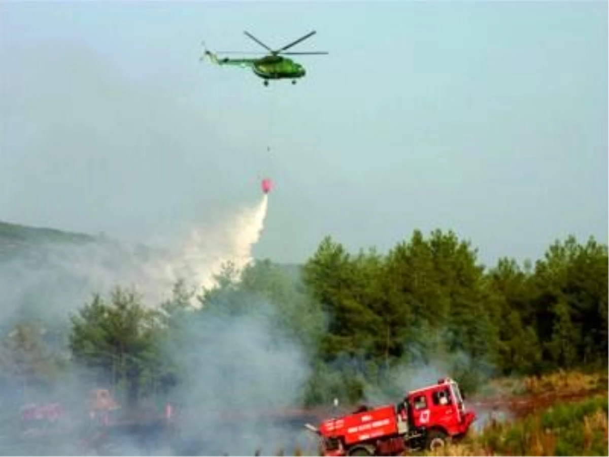 Adana ve Osmaniye\'deki Orman Yangınlarında 102 Hektarlık Alan Zarar Gördü