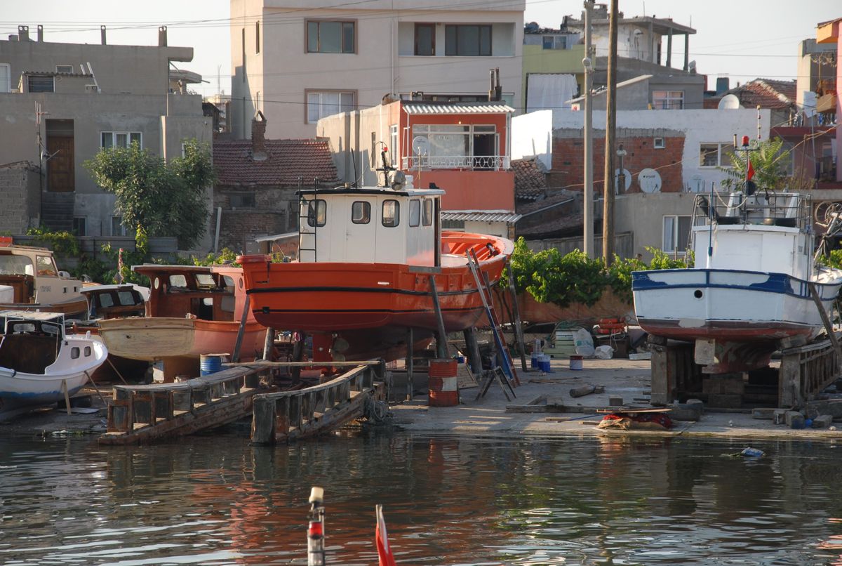 Balıkçıların Baş Düşmanı Kekamoz