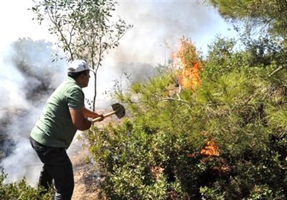 Marmara Adasında Çıkan Yangında 200 Dönüm Ormanlık Alan Yandı