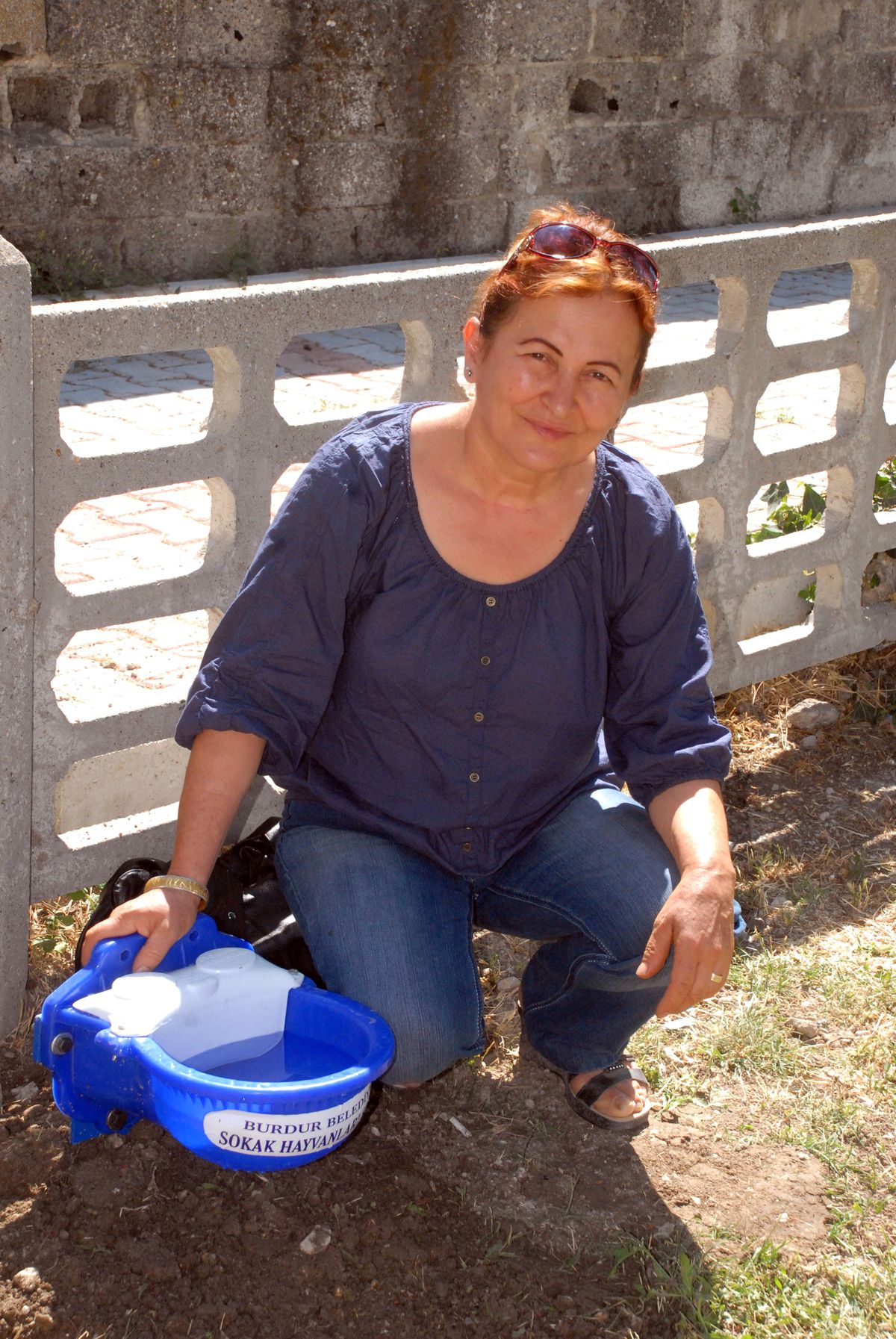 Sokak Hayvanları İçin Suluk