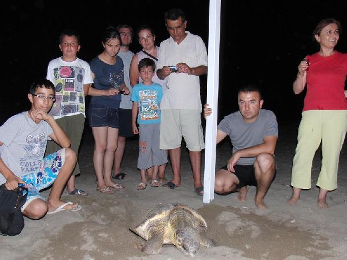 Tatilcilerin Yumurtlayan Caretta Hatırası
