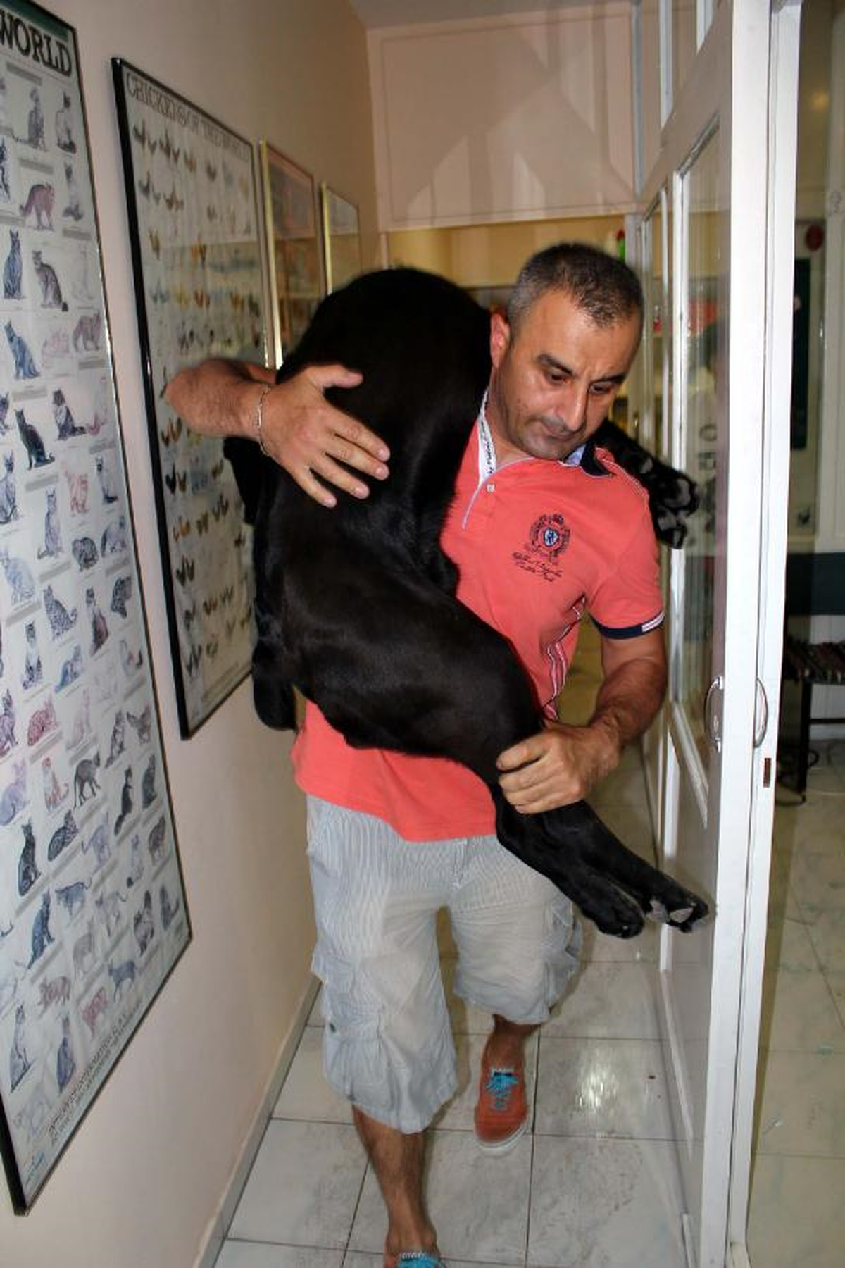 Bu da Veterinere Şiddet