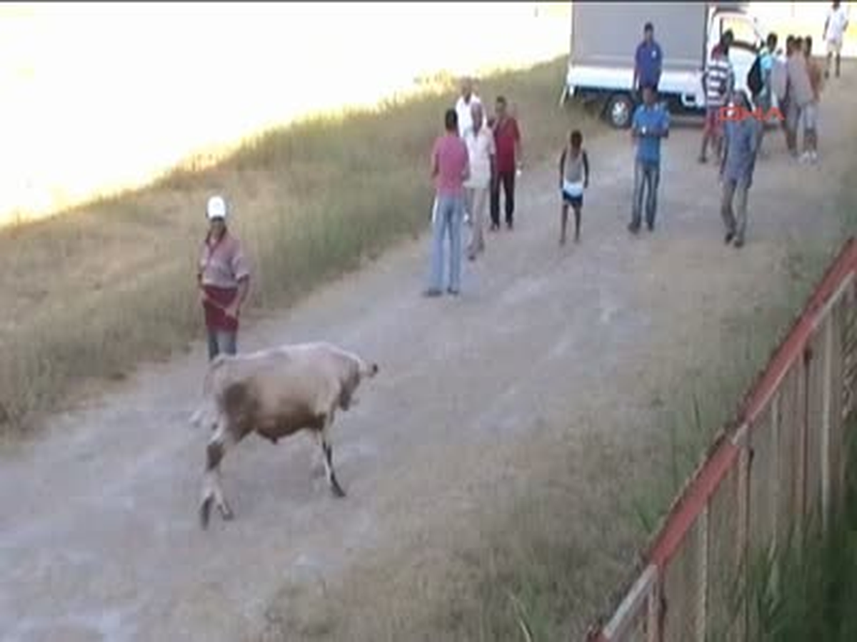 Spor Yapılmıyorsa İnek Otlatırız!