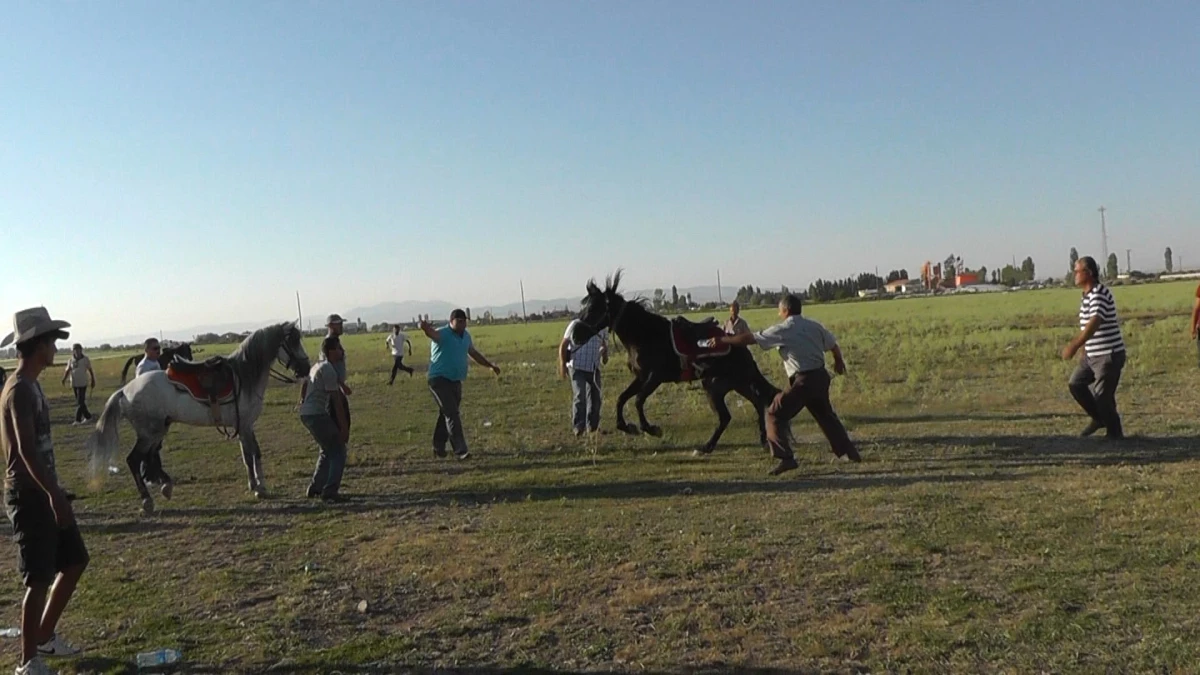 Beyşehir\'de Rahvan Atlar Yarıştı