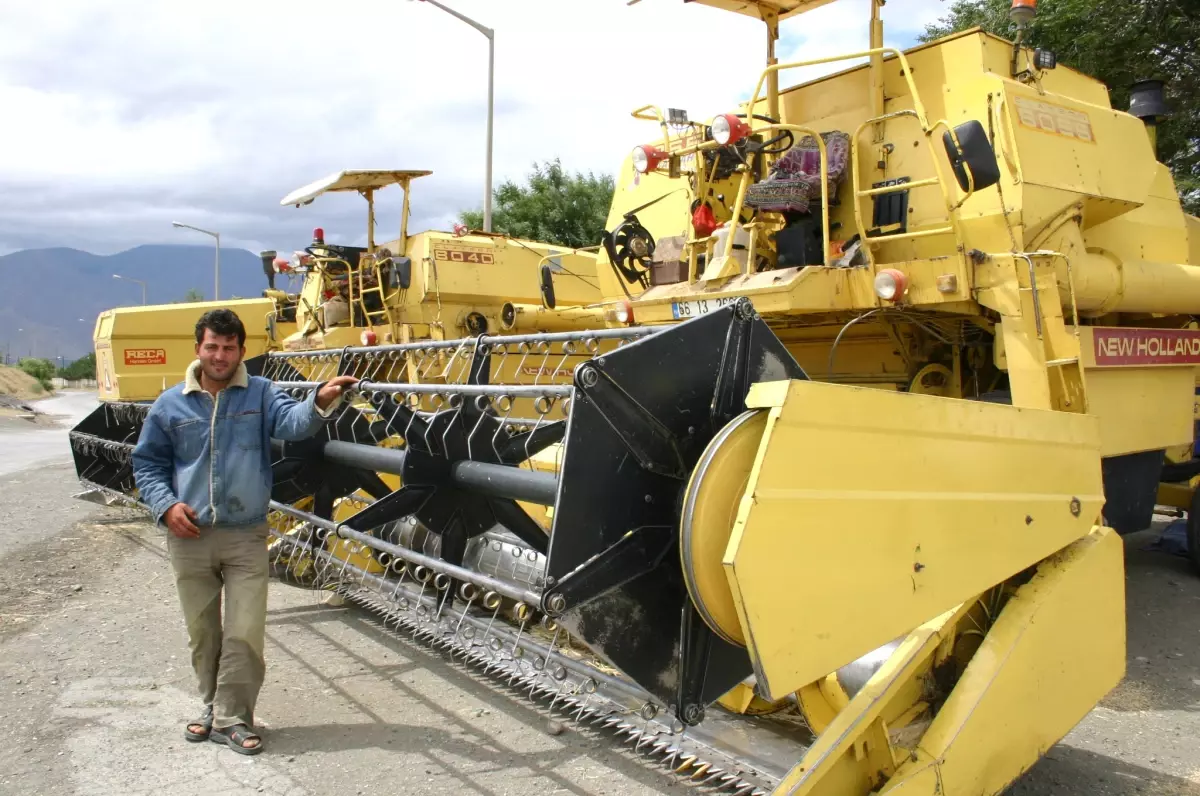 Erzincan'da Hububat Hasadı Başladı