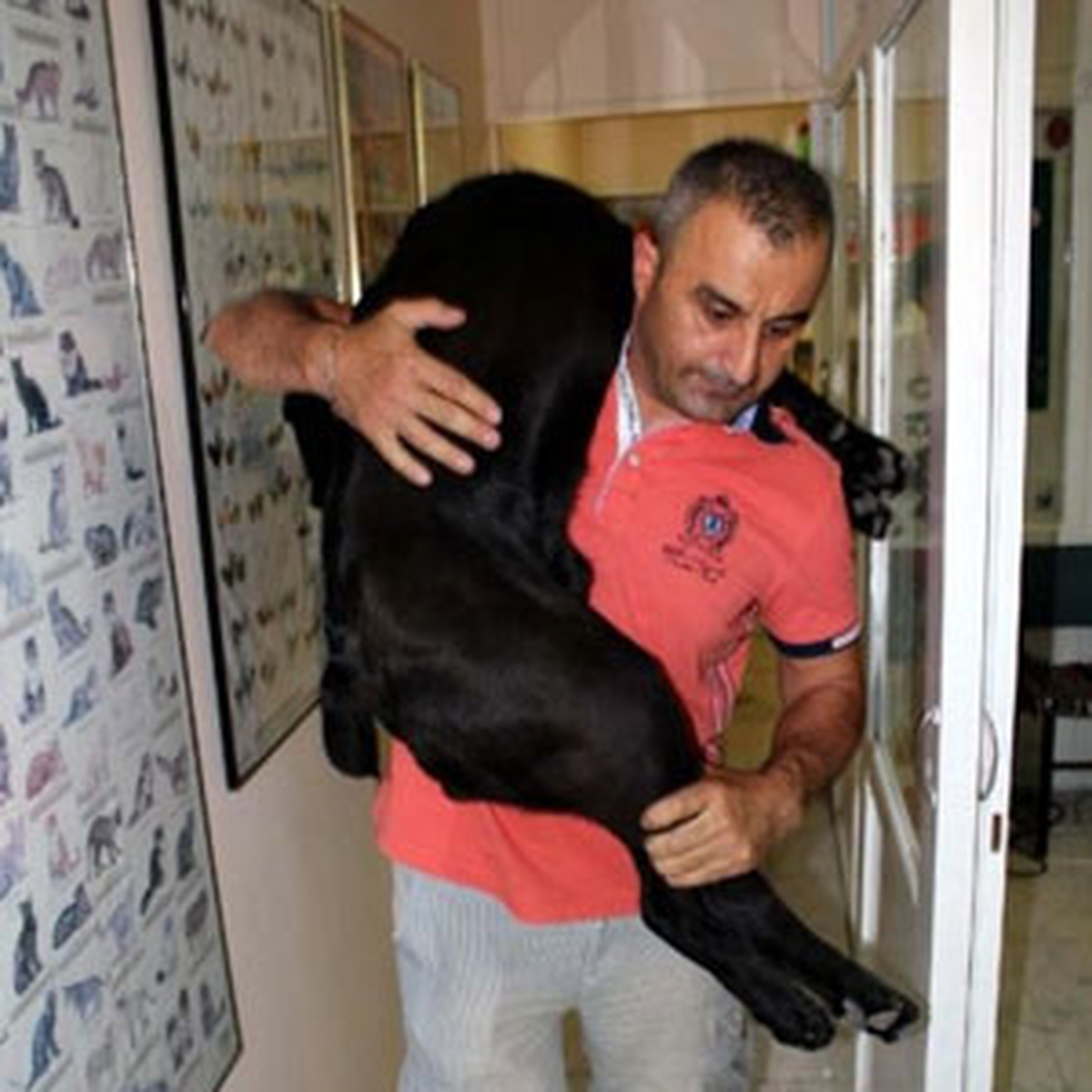 Köpeğini Öldürdüğünü İddia Ettiği Veterinere Saldırdı