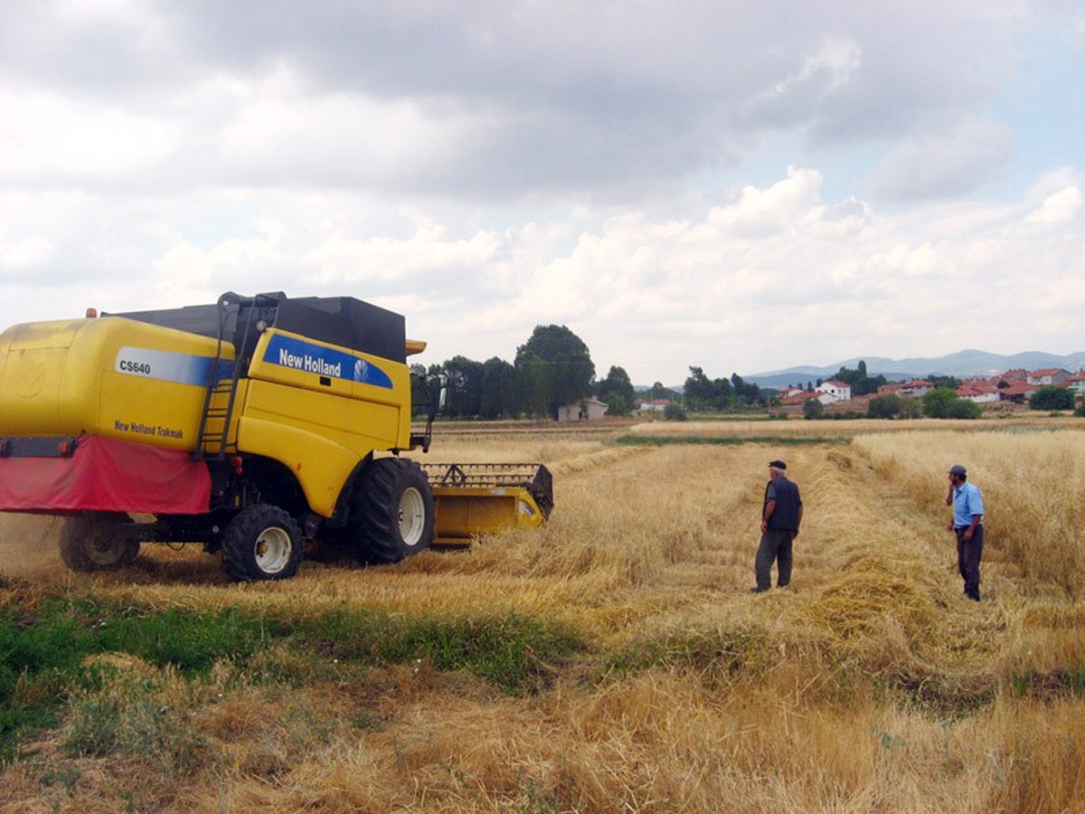 Kütahyalı Çiftçiler Hasattan Umutlu