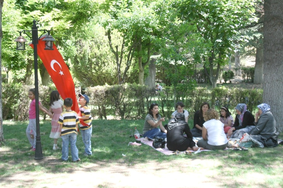 Sağlık-Sen Bolvadin Üyeleri Piknikte Buluştu