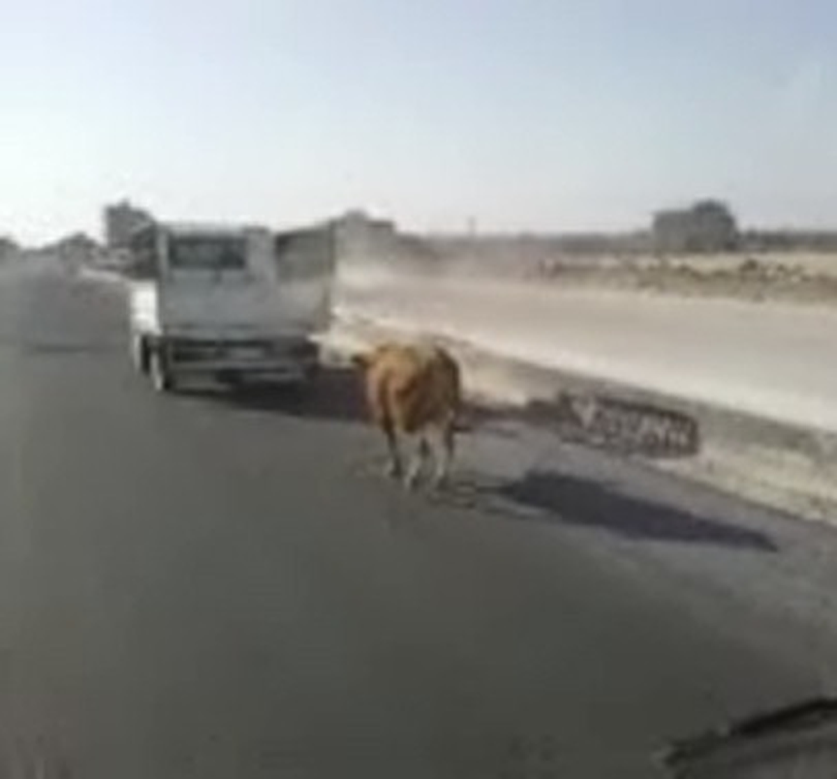Şanlıurfa\'da İnsanlık Dışı Manzara