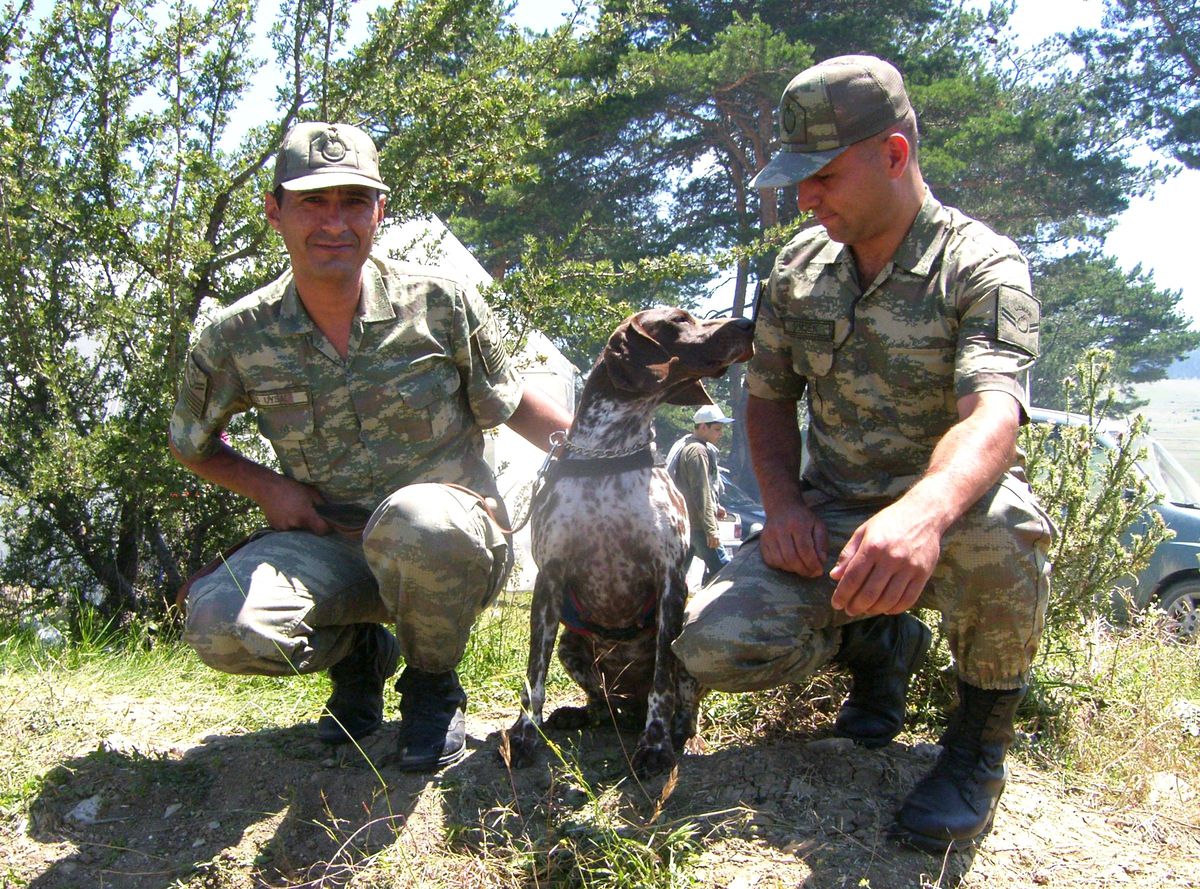 Bomba Arama Köpeği Yayla Güreşlerinde İlgi Odağı Oldu
