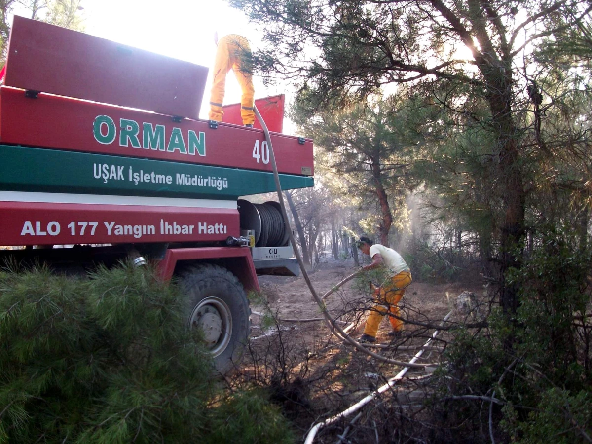 Eşme\'deki Orman Yangını Kontrol Altına Alındı