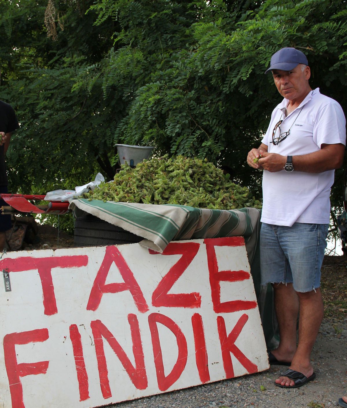 Fındık Pazara İndi