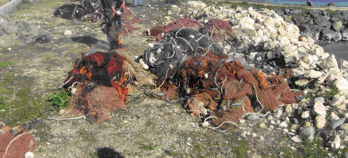 İnci Kefali Av Yasağı Sona Erdi