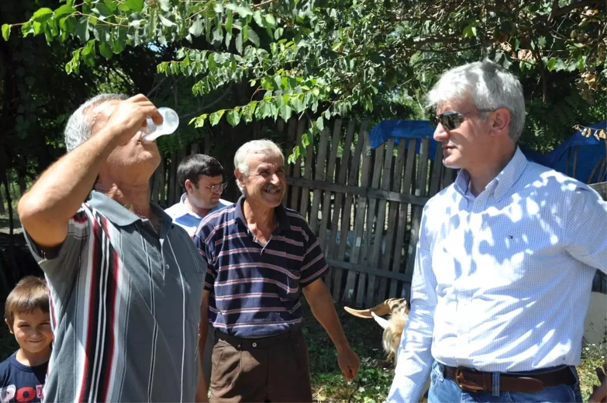 Milletvekili Şahin, Tekeden Süt Çıkardı