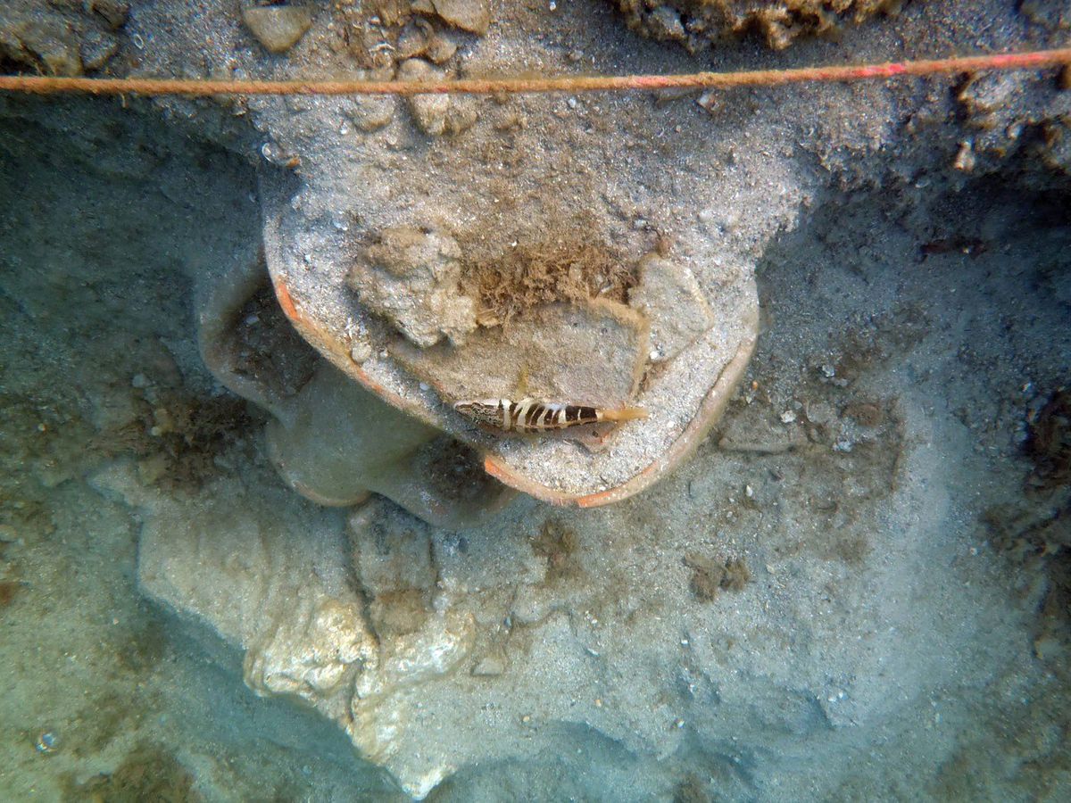 Urla Limantepe Sualtı Kazı Çalışmaları Devam Ediyor