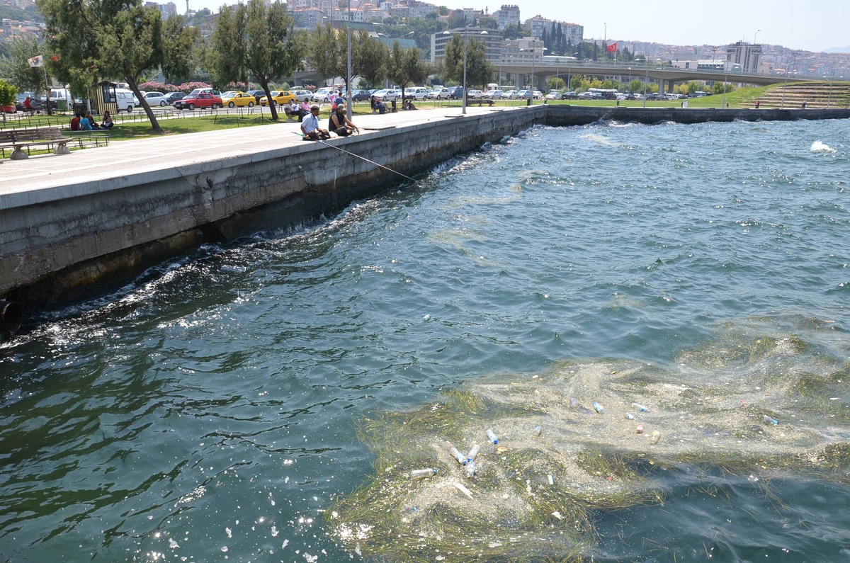 Vatandaşların Deniz Kirliliği Tepkisi