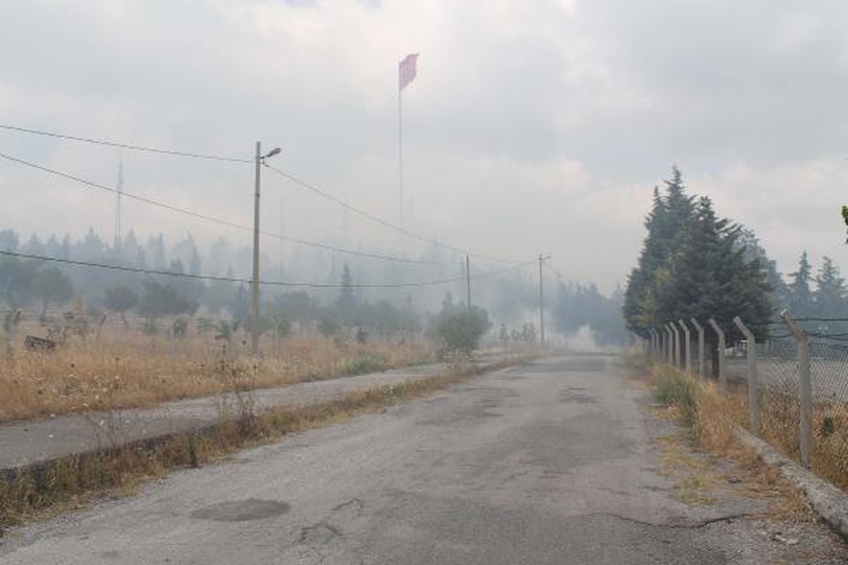 Alevler 2 Hektar Çamlık Alanı Küle Çevirdi