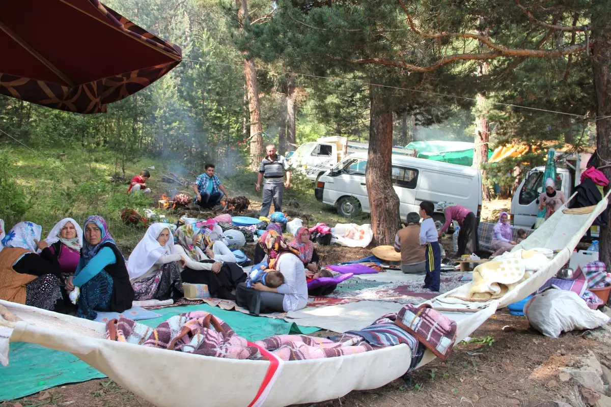 Ayvalı Köylüleri Festivalde Buluştu