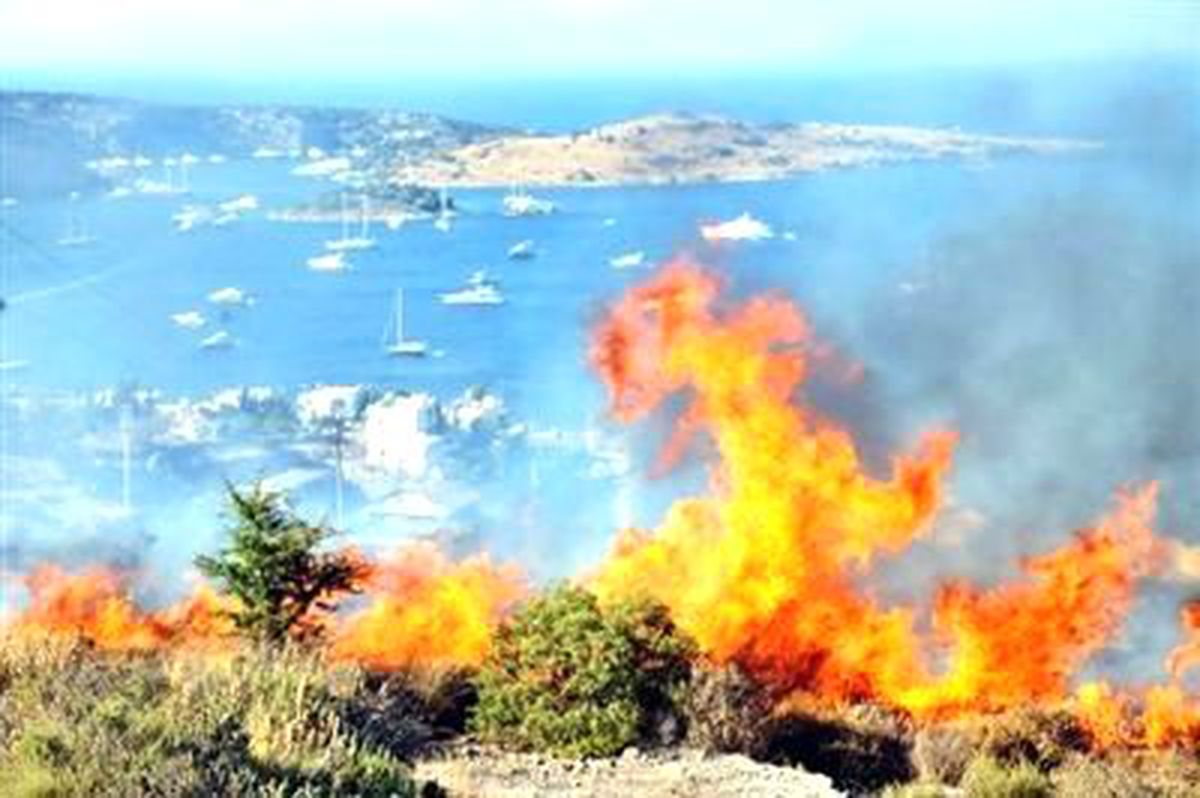 Çeşme\'de Orman Yangını