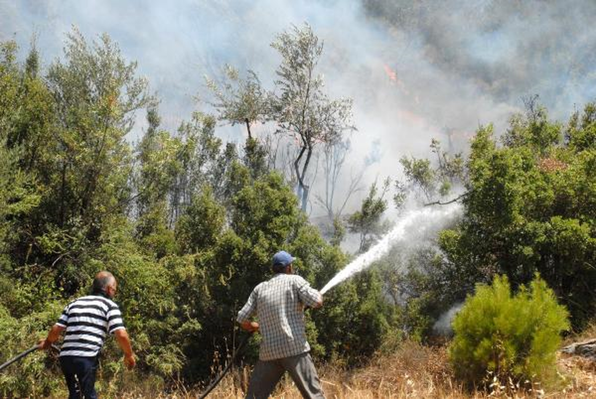 Erken Müdahale Turistik Kanyonu Yanmaktan Kurtardı