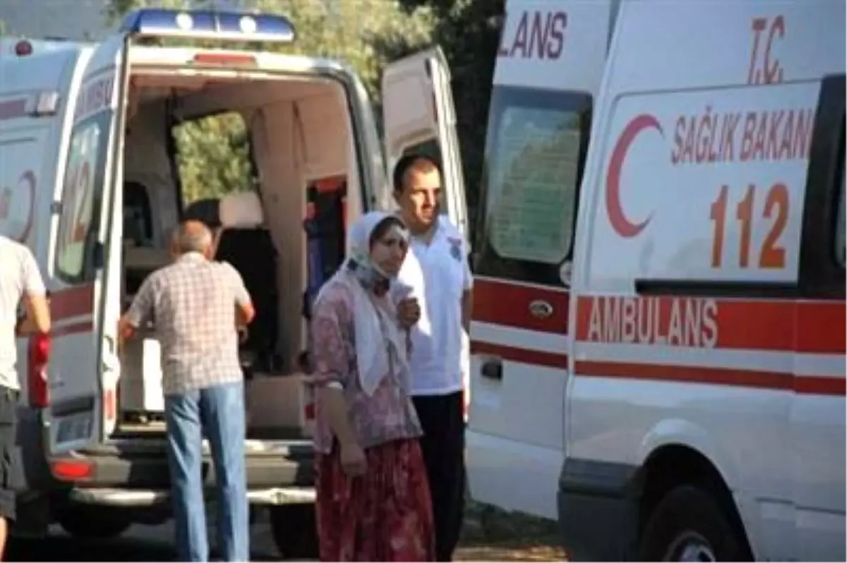 Erzincan'da Trafik Kazası: 2 Ölü, 2 Yaralı