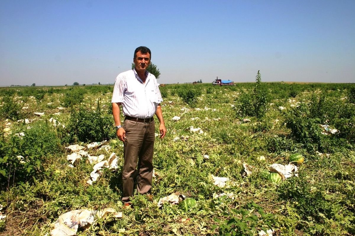 Karpuza \'Gazete Kağıdı\' Koruması