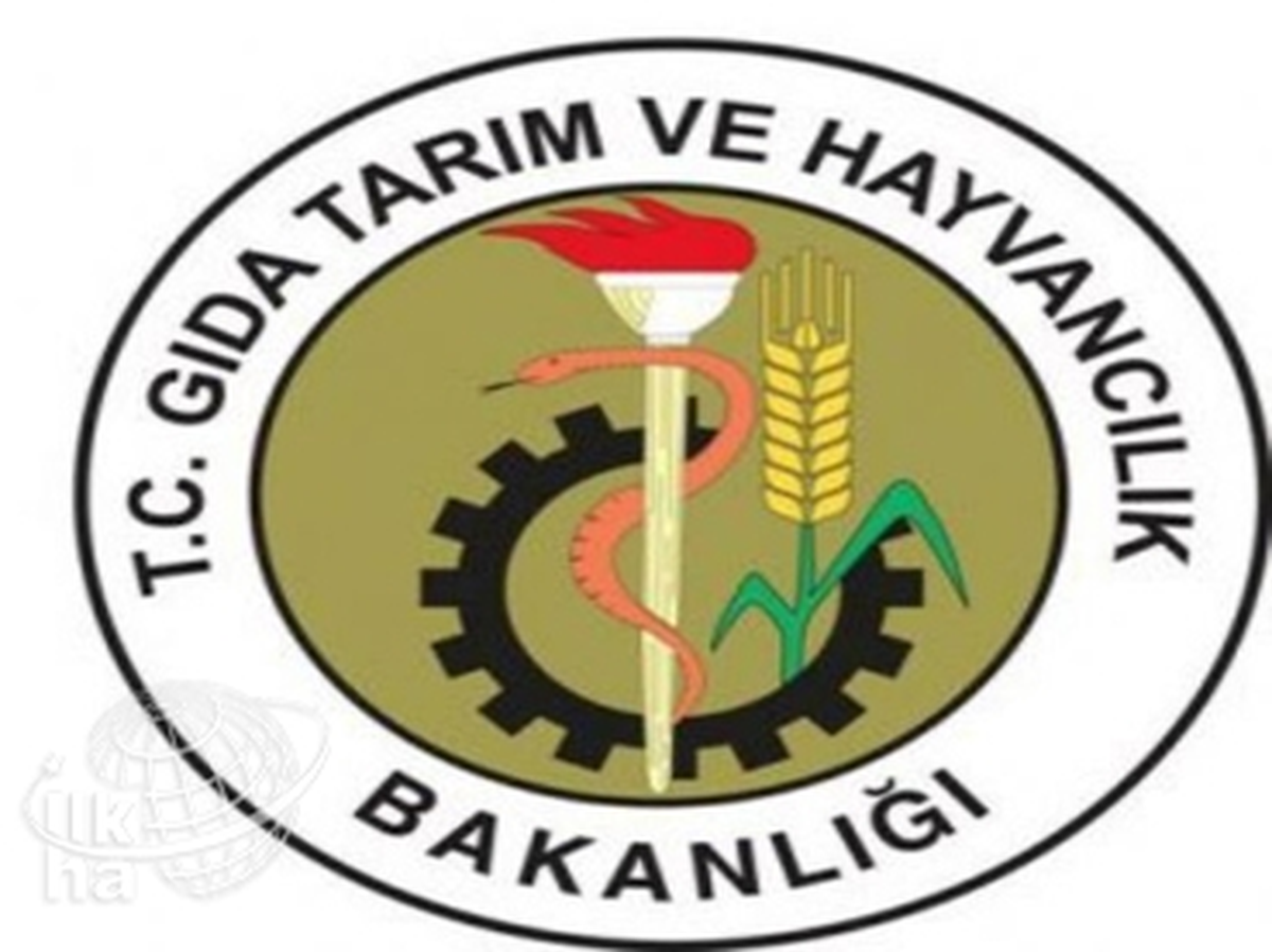 Lisansüstü Öğrenim İçin 200 Personelini Yurt Dışına Gönderecek
