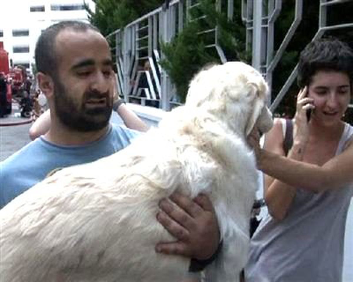 Rezidans Yangınında Köpek \'Marley\'e Güvenlikçi Şefkati