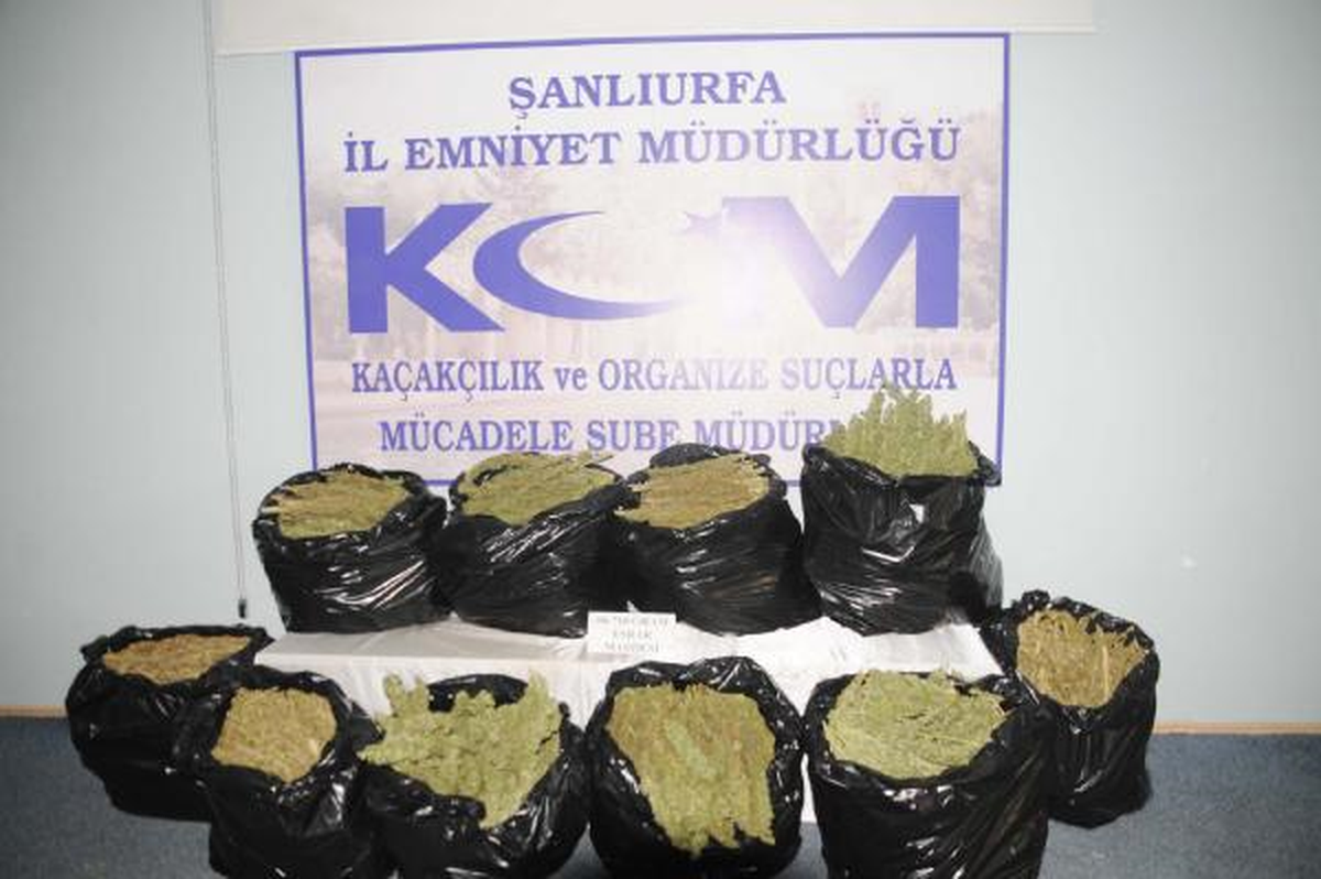 Şanlıurfa\'da Esrar Operasyonu: 2 Gözaltı