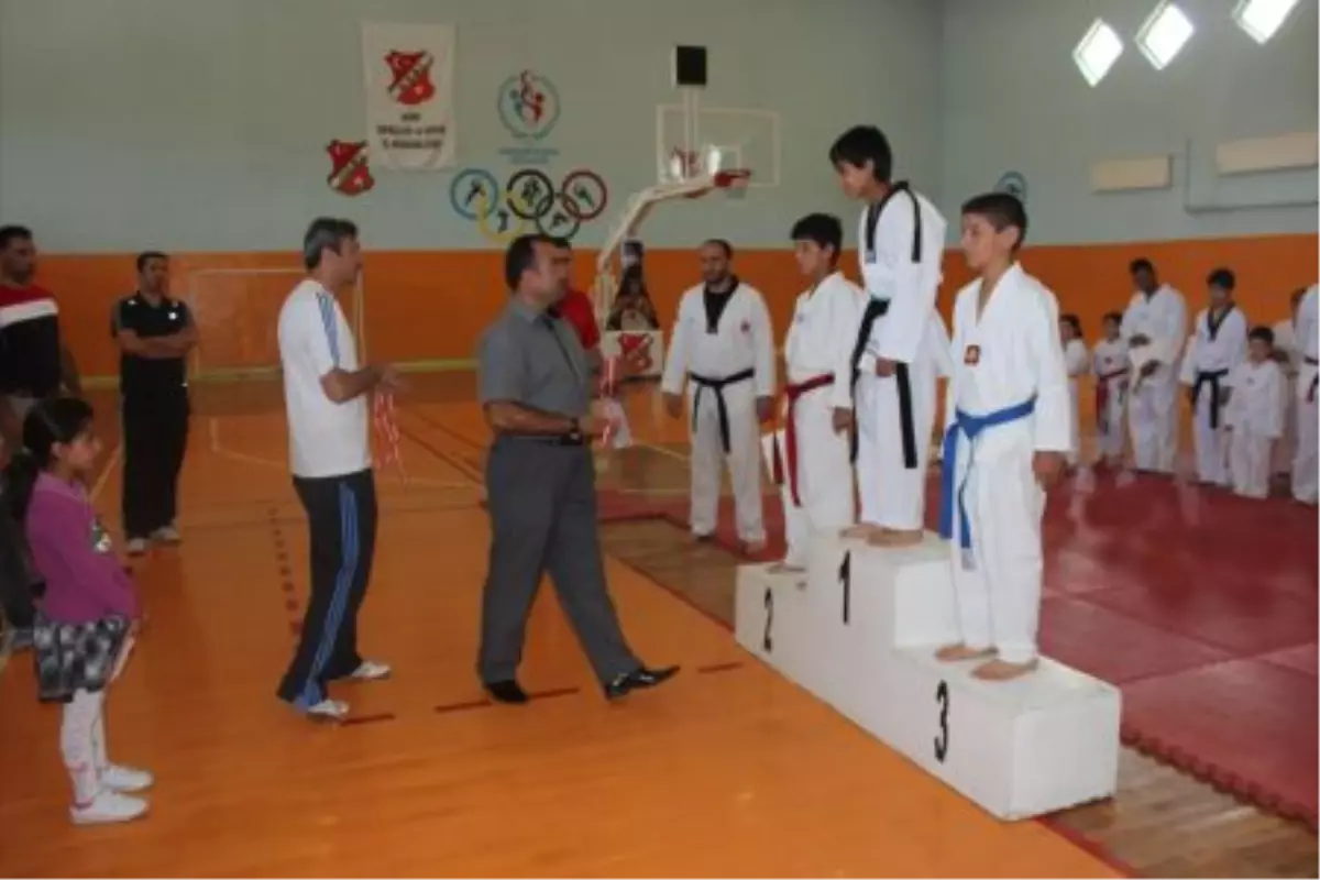 Taekwondo İl Birinciliği Müsabakaları Sona Erdi