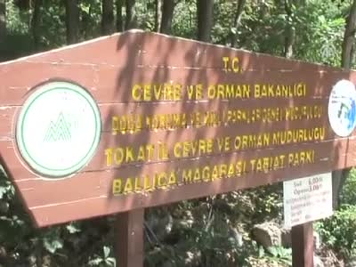 3.4 Milyon Yıllık Mağarada Gizemli Yolculuk
