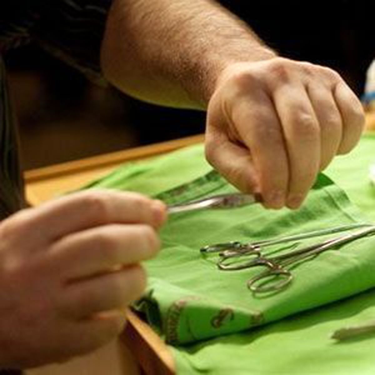 Almanya\'daki Sünnet Kararı