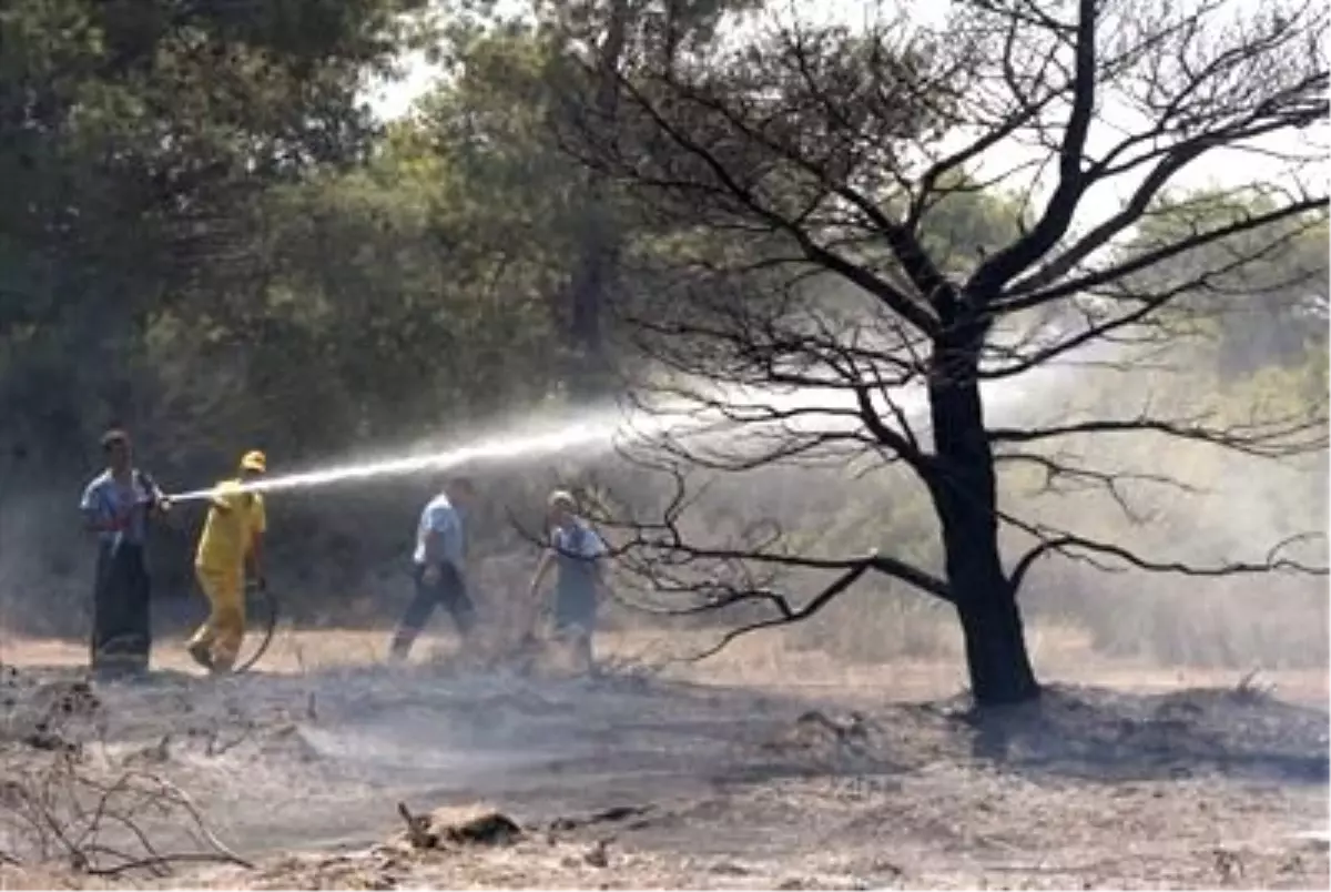Antalya\'da Orman Yangını \'İmece\'yle Söndürüldü