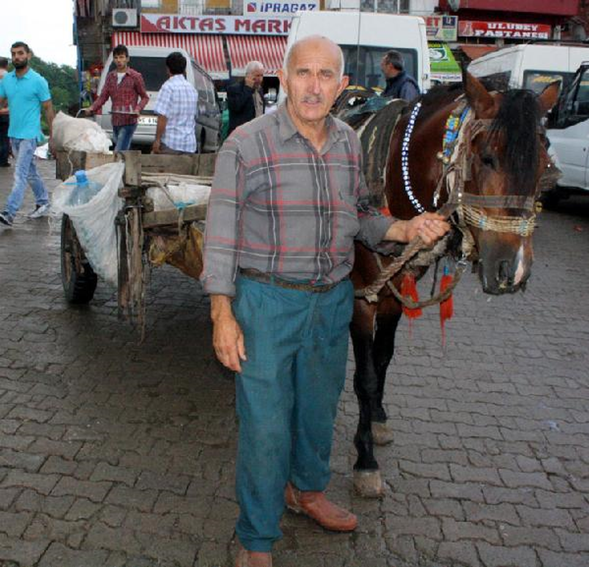 At Arabası Sahibine 72 Lira Trafik Cezası Kesildi
