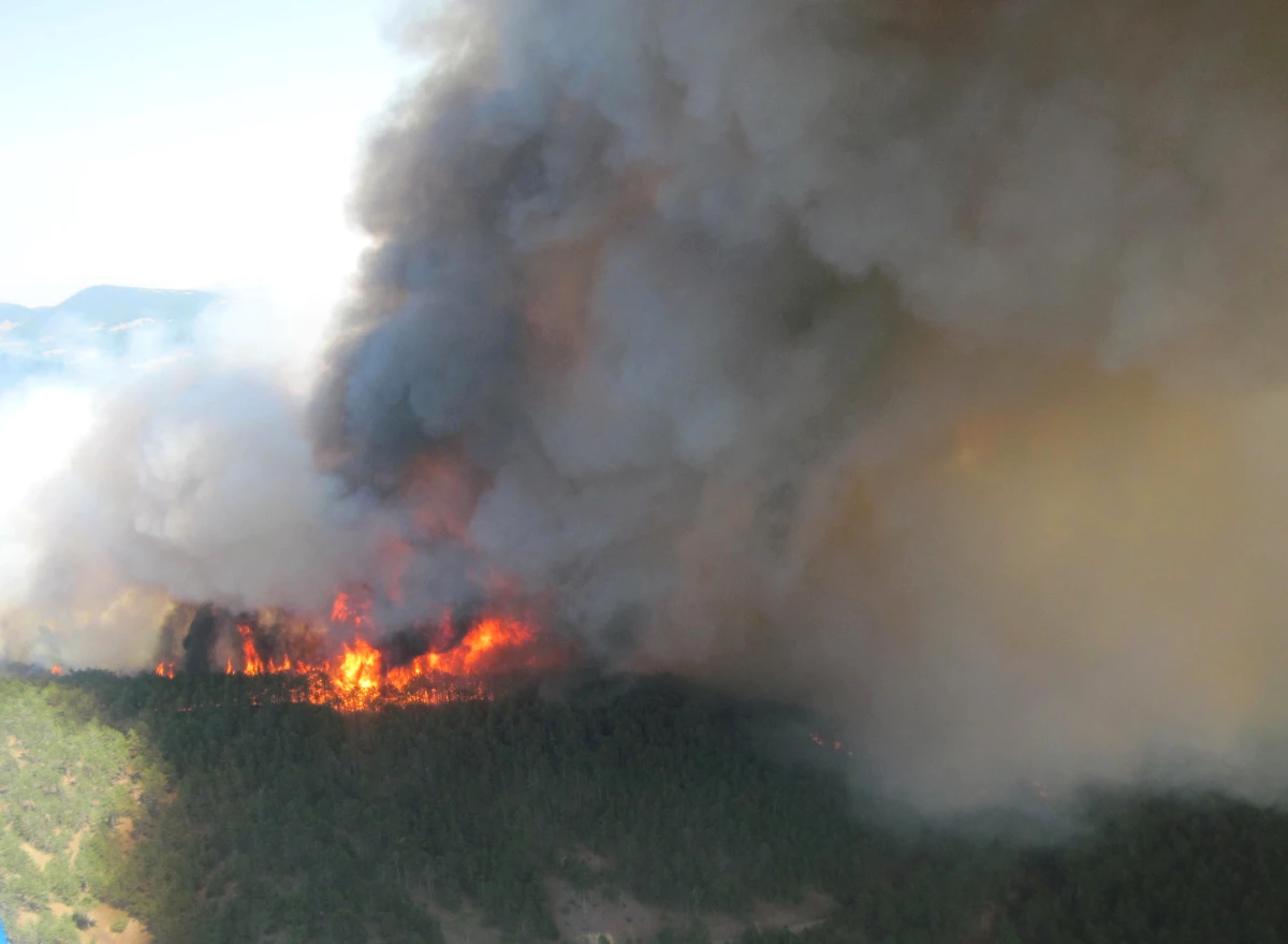 Banaz\'daki Orman Yangını Söndürüldü