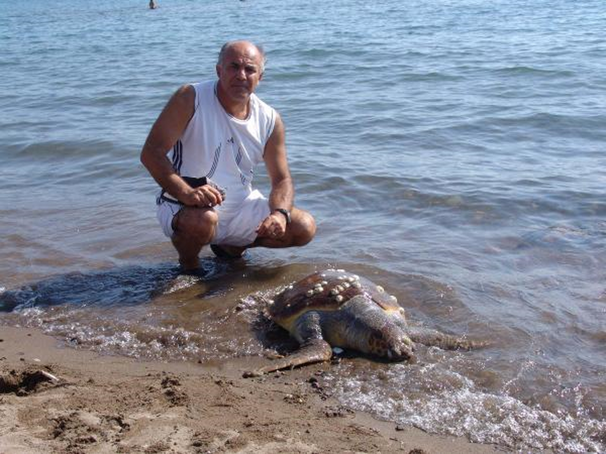 Caretta Caretta Yumurtlamaya Geldiği Dikili\'de Ağlara Takıldı
