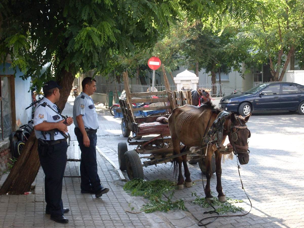 Edremit\'te At Arabalı Küçük Hurdacılara Gözaltı