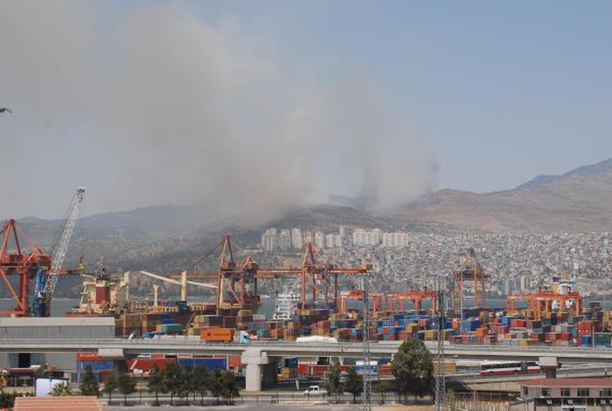 İzmir\'de Orman Yangını