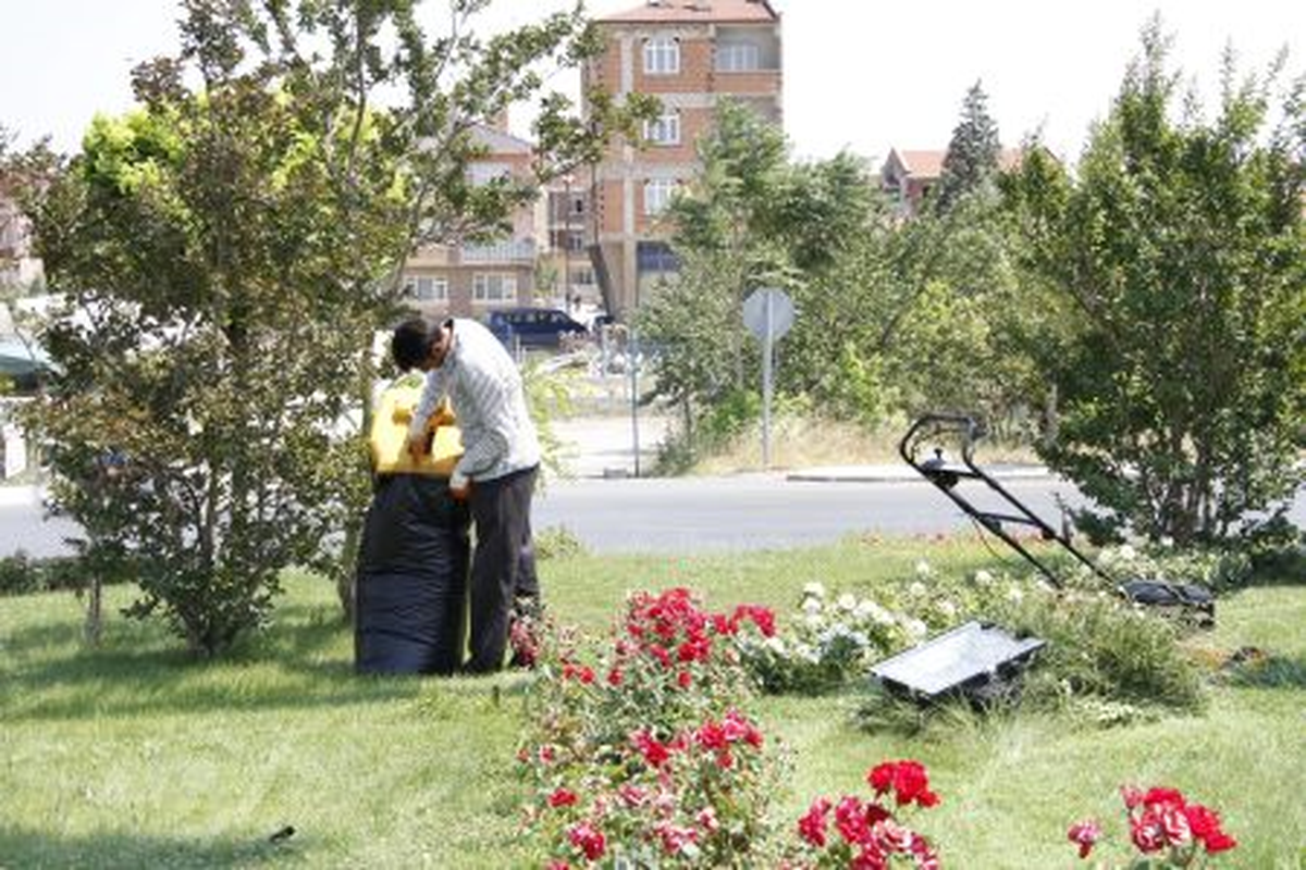 Park ve Bahçeler Müdürlüğü\'nün Çim Biçme Çalışmaları